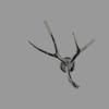 Superordinate Antlers Sconce